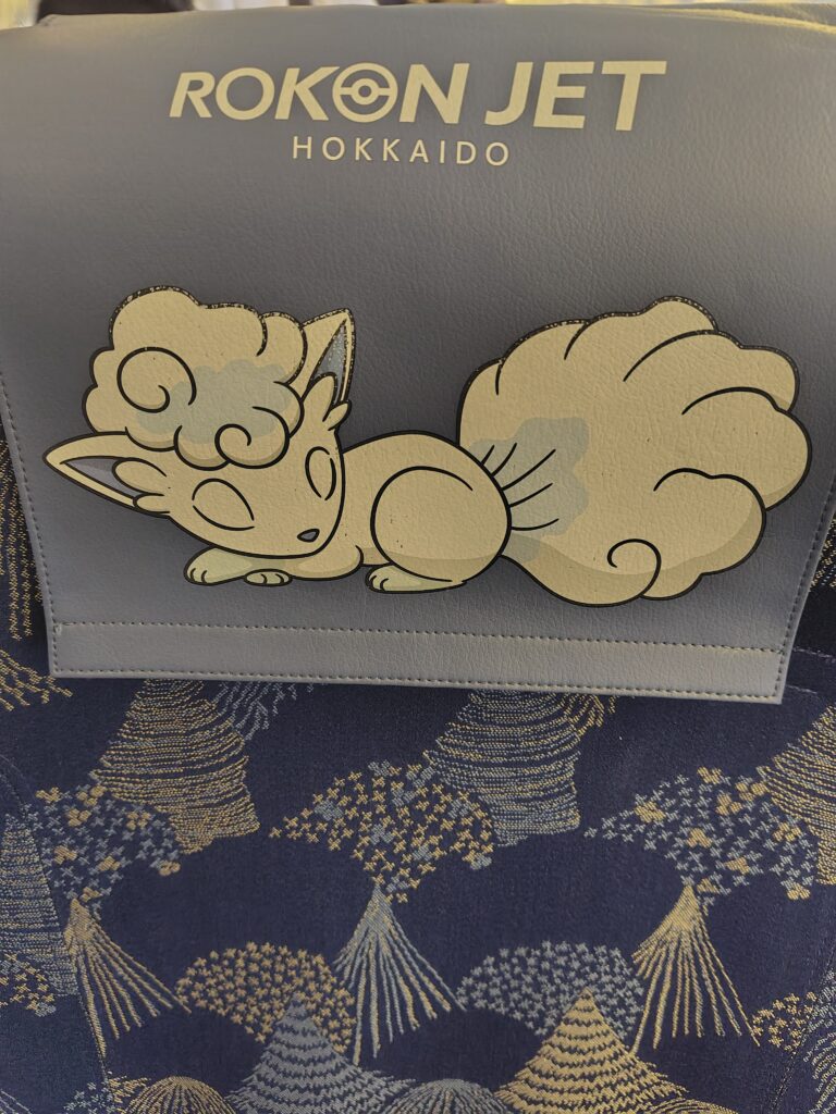 函館帰りのエアドゥのロコン座席
